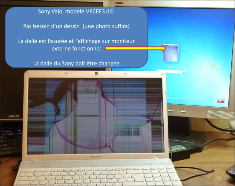 Sony VAIO dalle cassee (1)