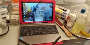 ASUS T100 HAN vue face