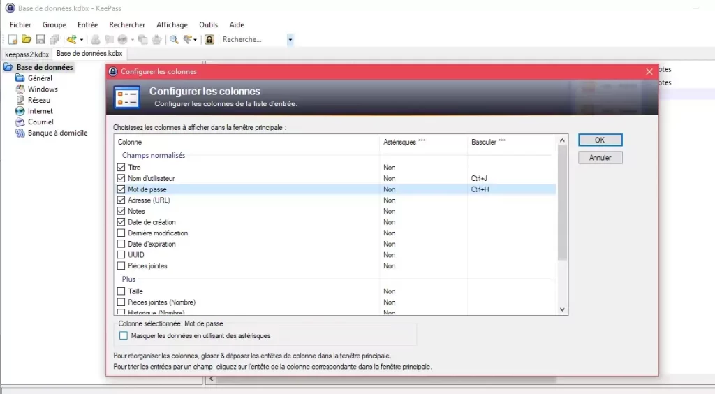 keepass PC reglage vue mots de passe 2